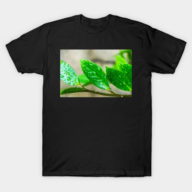 GREEN LEAVES T-Shirt by likbatonboot